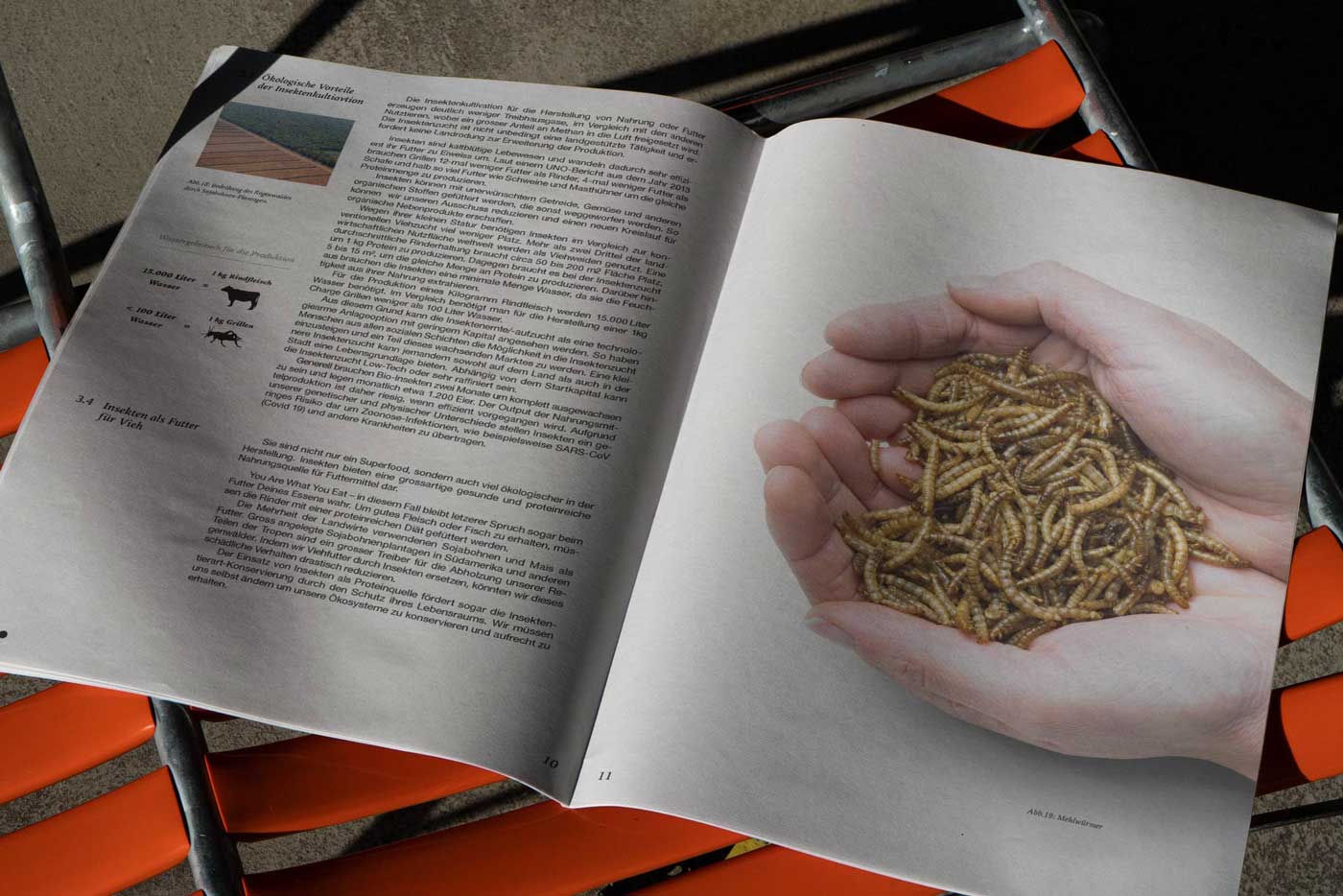 Editorial Entomophagy