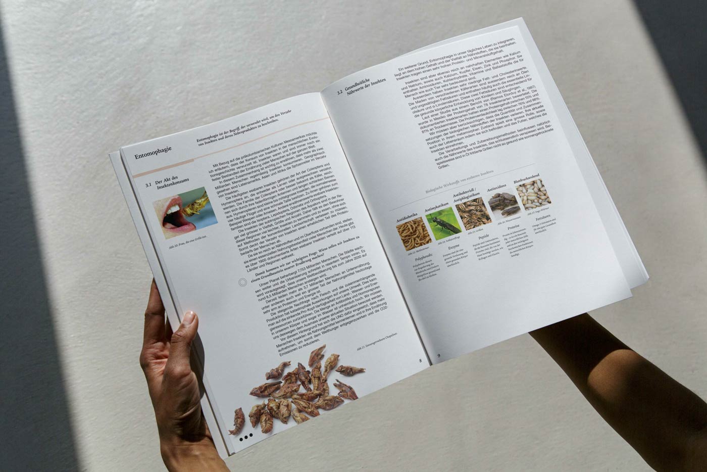 Editorial Entomophagy